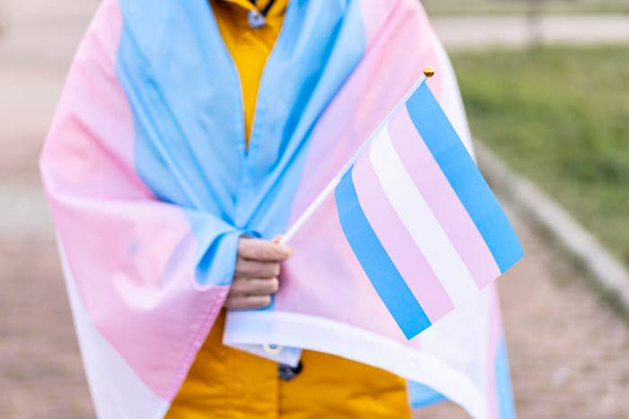 Person draped in transgender pride flag, holding a smaller transgender pride flag