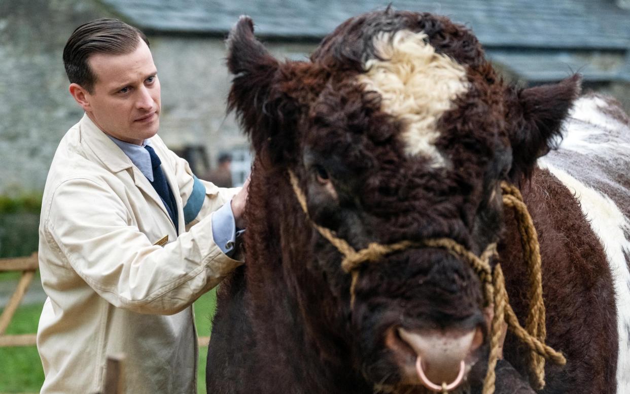 'Low-stakes, calming television': American viewers can't get enough of British shows like All Creatures Great and Small - Matt Squire