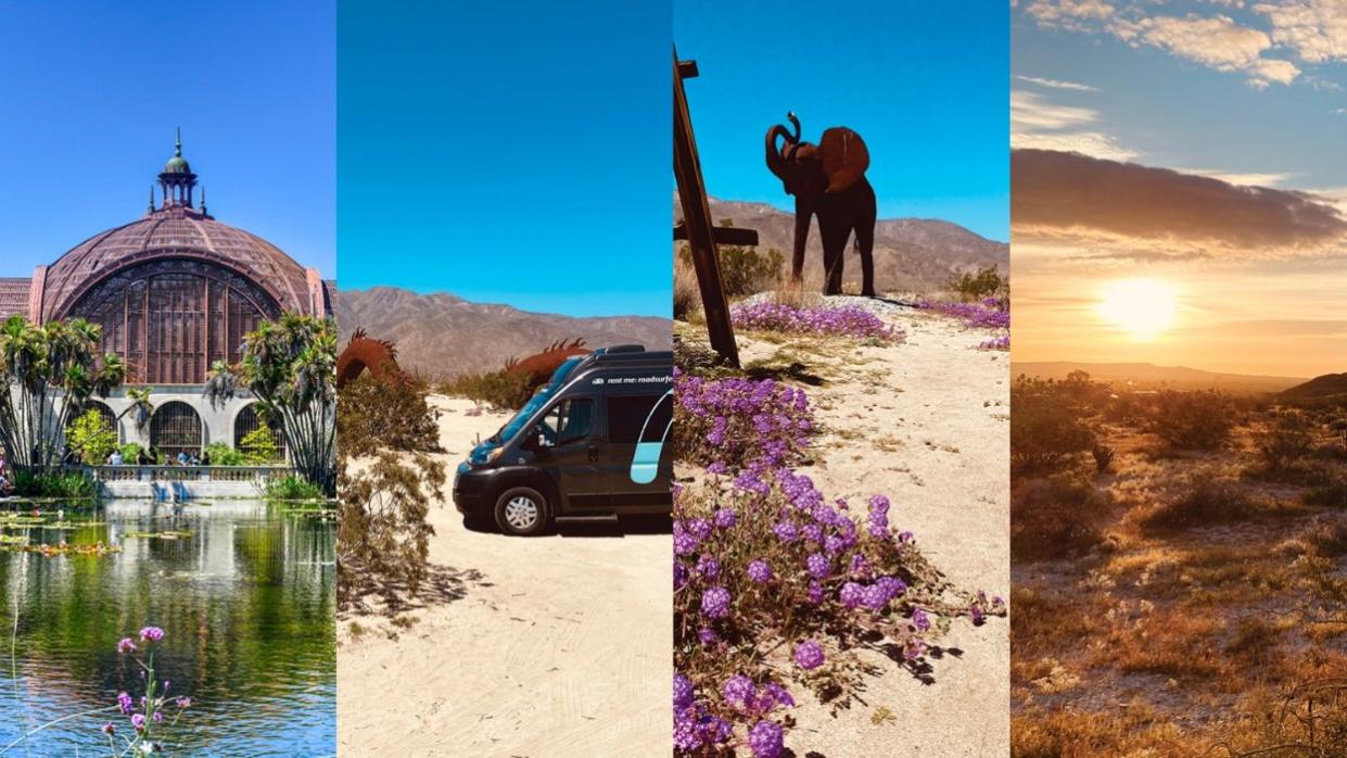 Surf, Sand, & Super Blooms: The Great Southern Californian Road Trip