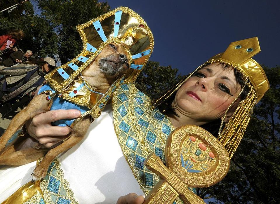 24) Dog and Owner Cleopatra Halloween Costumes