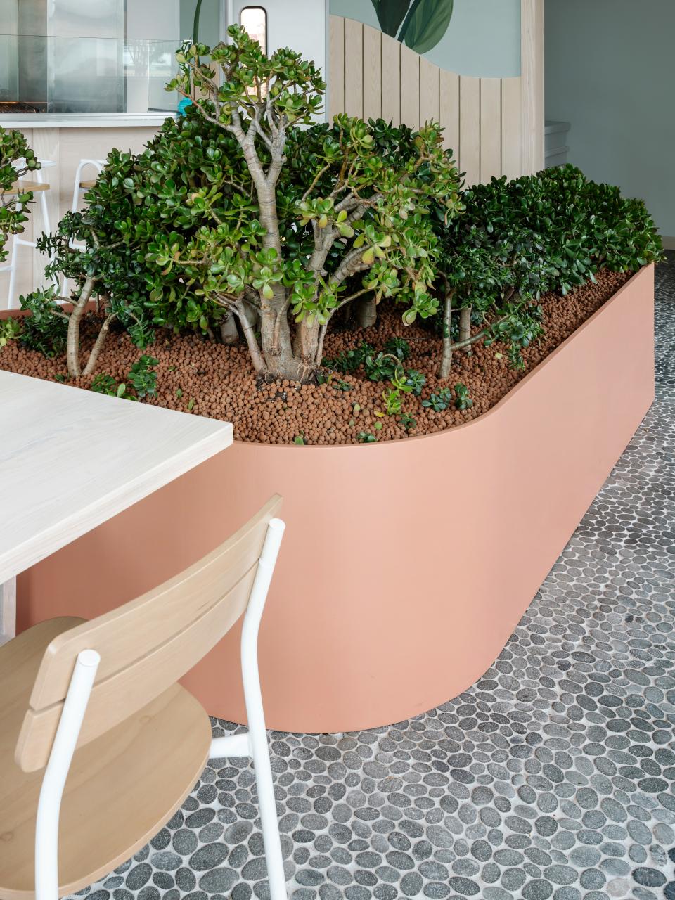 The planters are made out of curved paint-grade plywood.