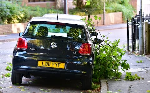 A car lays under a fallen tree branch in Cambridge - Credit: SWNS