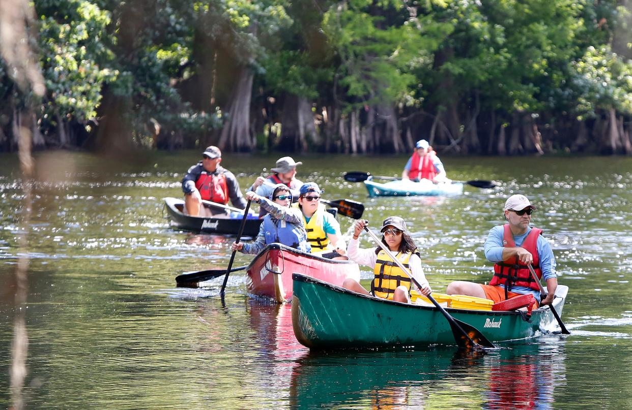 A group of canoes from Camp Crystal Lake paddle on the Santa Fe River in High Springs on April 19, 2018. Poe Springs Park which has been closed since Hurricane Irma damaged several areas at the park.