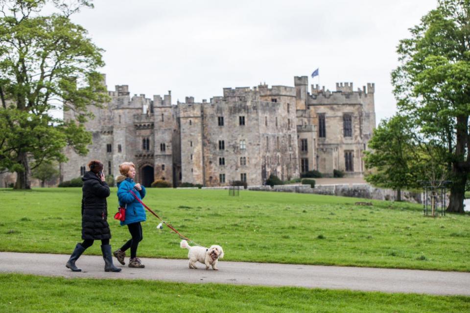 The Northern Echo: The Raby Castle Great British Dog Walk in aid of Hearing Dogs for Deaf People.