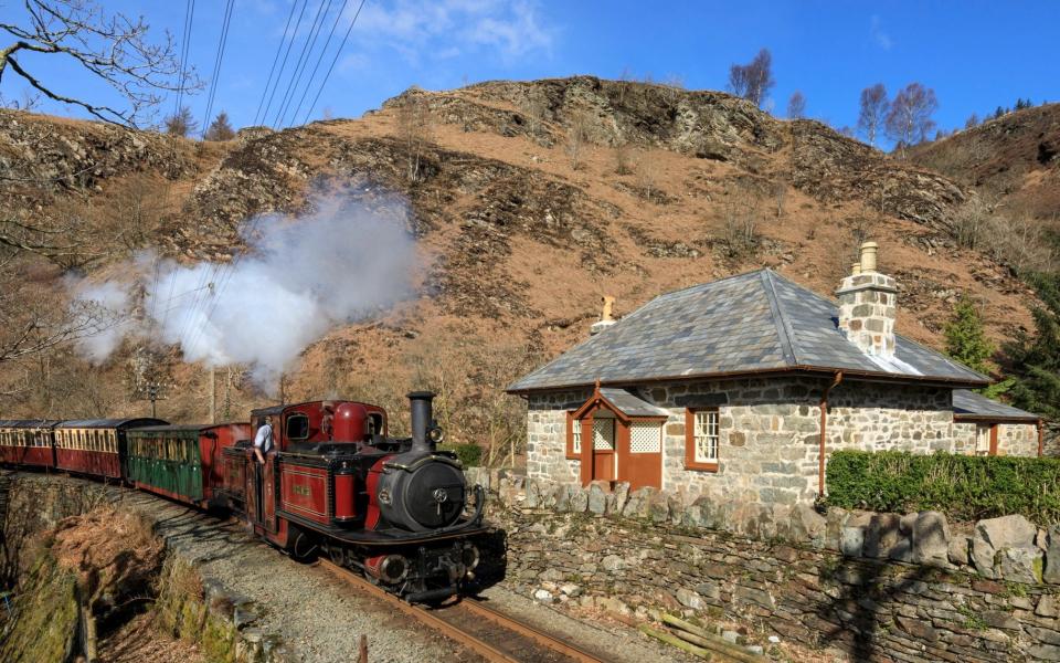  Coed y Bleiddiau - © John MIller