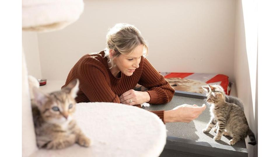 Princess Charlene of Monaco pets a small kitten