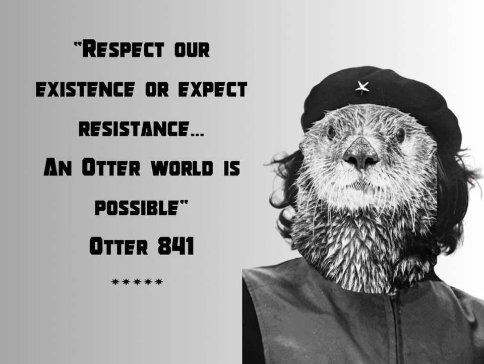 Memes position the otter as a renegade revolutionary, modeled on Ché Guevara. <a href="https://www.instagram.com/p/Cu7L_O4L0GC/" rel="nofollow noopener" target="_blank" data-ylk="slk:thesurfingotter via Instagram;elm:context_link;itc:0;sec:content-canvas" class="link ">thesurfingotter via Instagram</a>