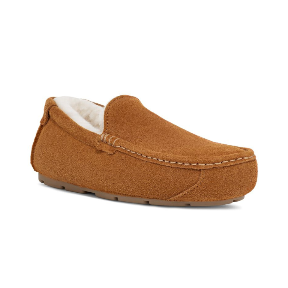 <p><a href="https://go.redirectingat.com?id=74968X1596630&url=https%3A%2F%2Fwww.koolaburra.com%2Fmen-slippers%2Ftipton%2F1105893.html%3Fdwvar_1105893_color%3DCOBR&sref=https%3A%2F%2Fwww.seventeen.com%2Flove%2Fdating-advice%2Fadvice%2Fg606%2Fboyfriend-gifts%2F" rel="nofollow noopener" target="_blank" data-ylk="slk:Shop Now;elm:context_link;itc:0;sec:content-canvas" class="link ">Shop Now</a></p><p>Tipton Slipper</p><p>koolaburra.com</p><p>$69.95</p>