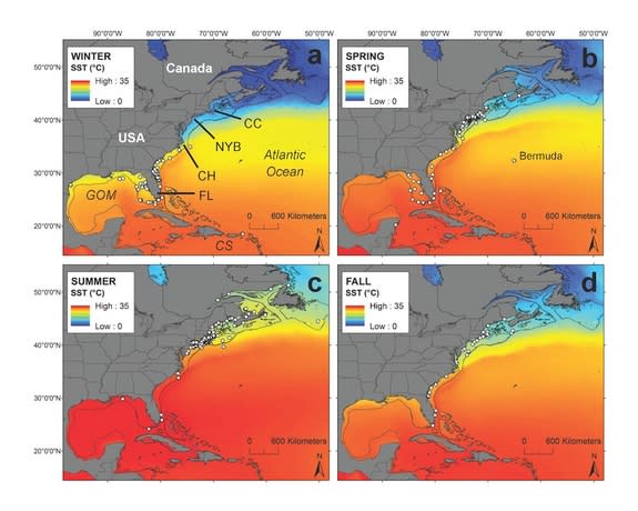 This distribution of verified great white shark observations (represented by white circles) shows where the species tends to swim throughout the different seasons.