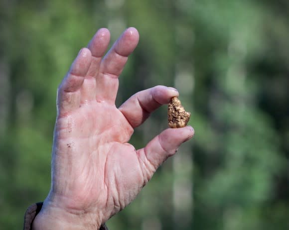 A hand holding up a gold nugget