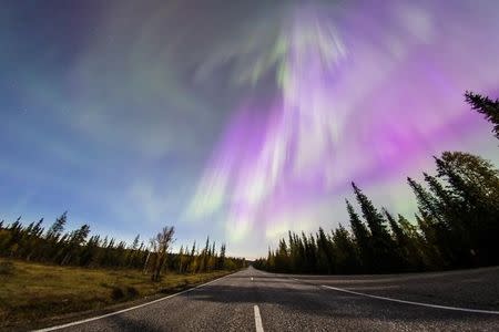 FILE PHOTO - The Aurora Borealis (Northern Lights) is seen over the sky near the village of Pallas (Muonio region) of Lapland, Finland September 8, 2017. REUTERS/Alexander Kuznetsov/All About Lapland