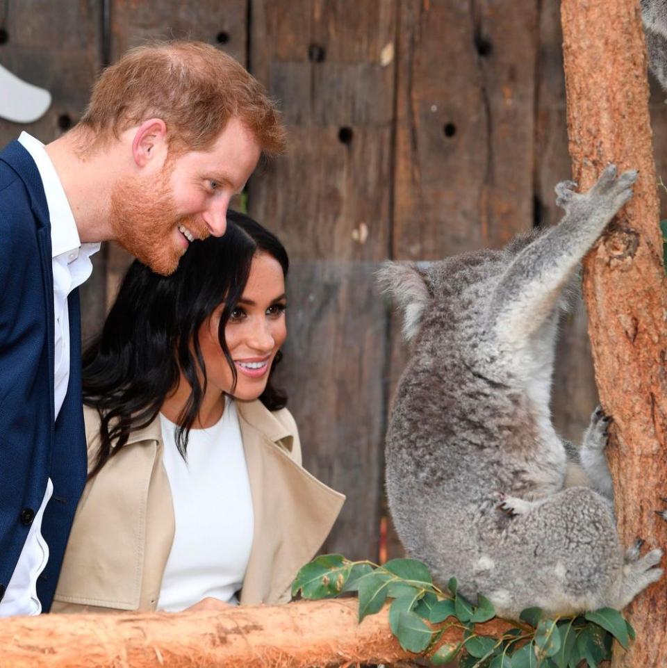 Prince Harry and Meghan Markle