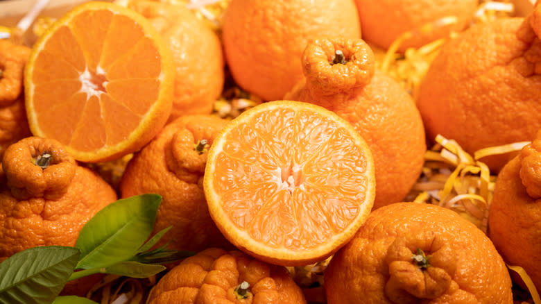 Shiranui mandarins