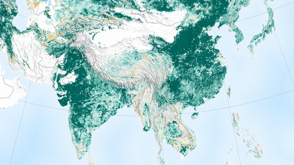 Green areas show increases in areas covered by green leaves.