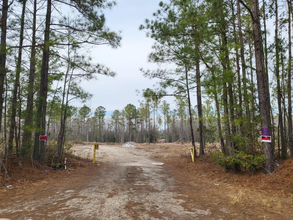 Nearly 700 acres of forested land just outside Leland will soon be the site of more than 1,800 new homes.