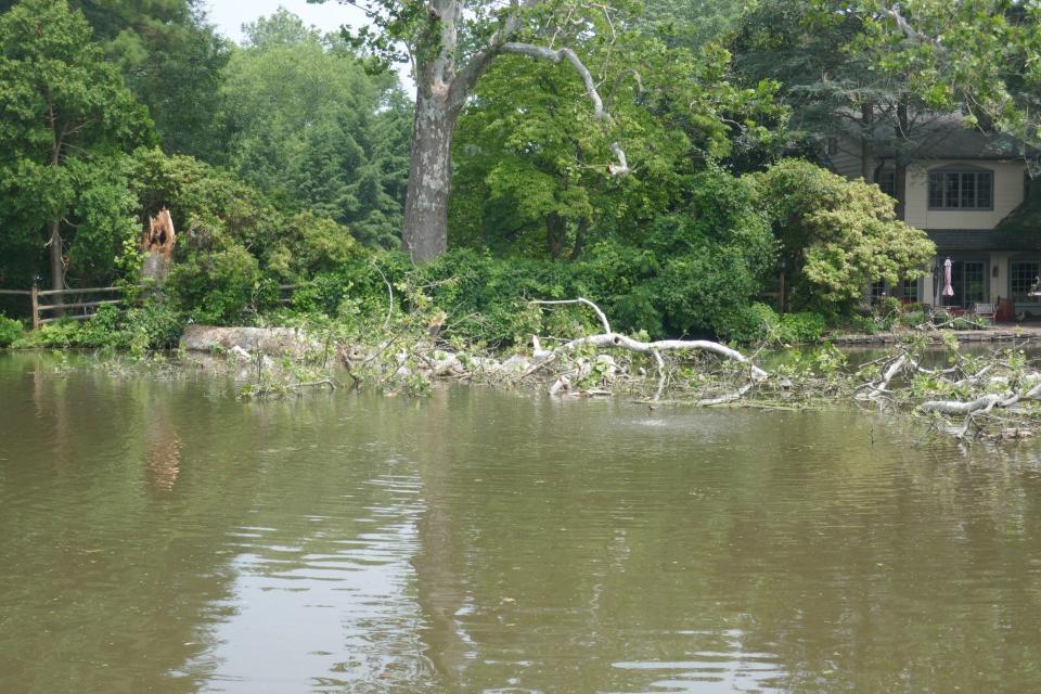 A large sycamore tree fell into Lake Afton in Yardley during a storm June 26.