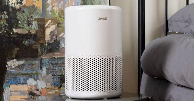 Las mejores ofertas en Purificadores de aire LEVOIT True Hepa