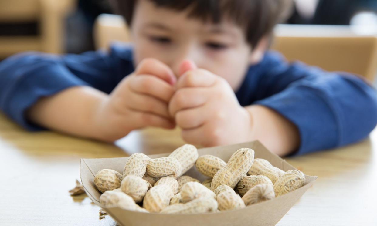<span>The approach means children living with food allergies may no longer have a reaction if they eat something that accidentally contains the allergen.</span><span>Photograph: michellegibson/Getty Images/iStockphoto</span>