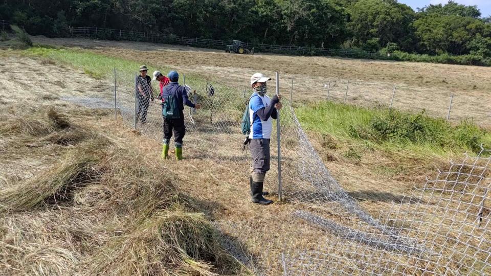 保育人員以圍網保護草地內的草鴞巢穴，杜絕其他動物的襲擾。翻攝林業保育署嘉義分署網站