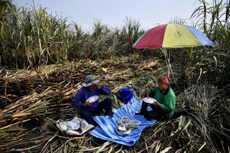 Sugar cane farmers have a lunch after working in a burnt field, a practice which authorities banned to avoid smog, Suphan Buri province, north of Bangkok