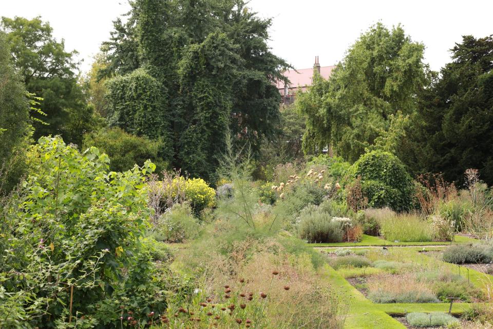 Nature loving dads will love exploring Chelsea Physic Garden: Getty Images