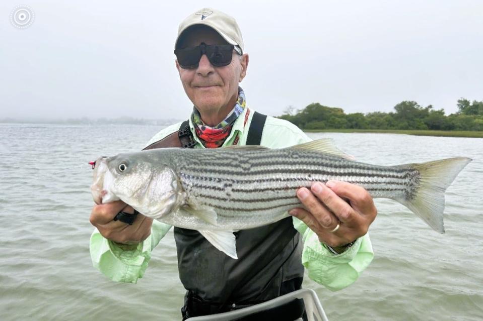 Fly fishing expert Ed Lombardo with a school bass caught Tuesday at the Charlestown Breachway.
