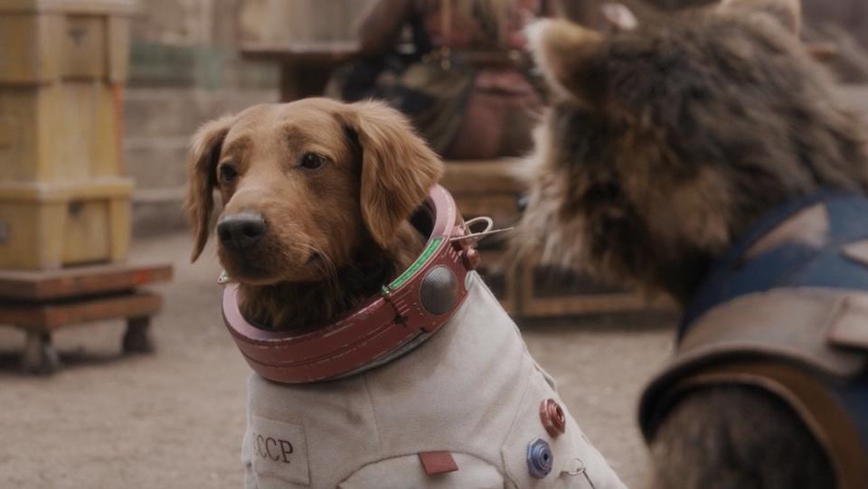 Cosmo the Dog talks with Rocket in The Guardians of the Galaxy Holiday Special