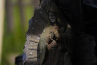 A Virgin of Guadalupe wooden statue is partially illuminated by a pocket of light at a woodworking shop in the Purepecha Indigenous community of Comachuen, Michoacan state, Mexico, Wednesday, Jan. 19, 2022. Money sent home by migrants working in the United States have kept families fed after local woodworking sales dropped off a decade ago when pine lumber started to become scarce. (AP Photo/Fernando Llano)