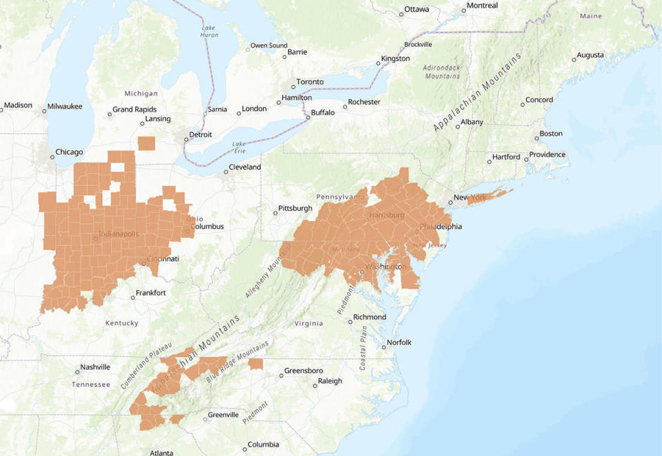 Brood X is endemic to much of Indiana, Pennsylvania, Maryland, New Jersey, Delaware and Eastern Tennessee.  / Credit: USDA Forest Service