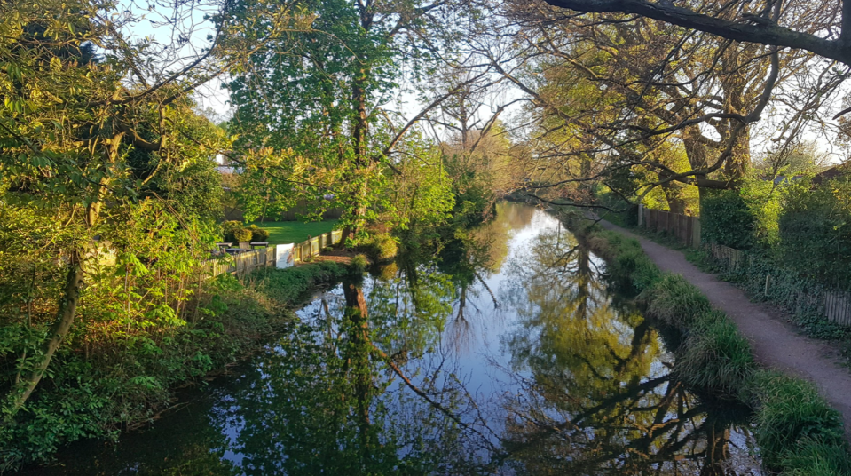 Victoria Huth captured the picture-perfect scene in 'Basingstoke Canal'.