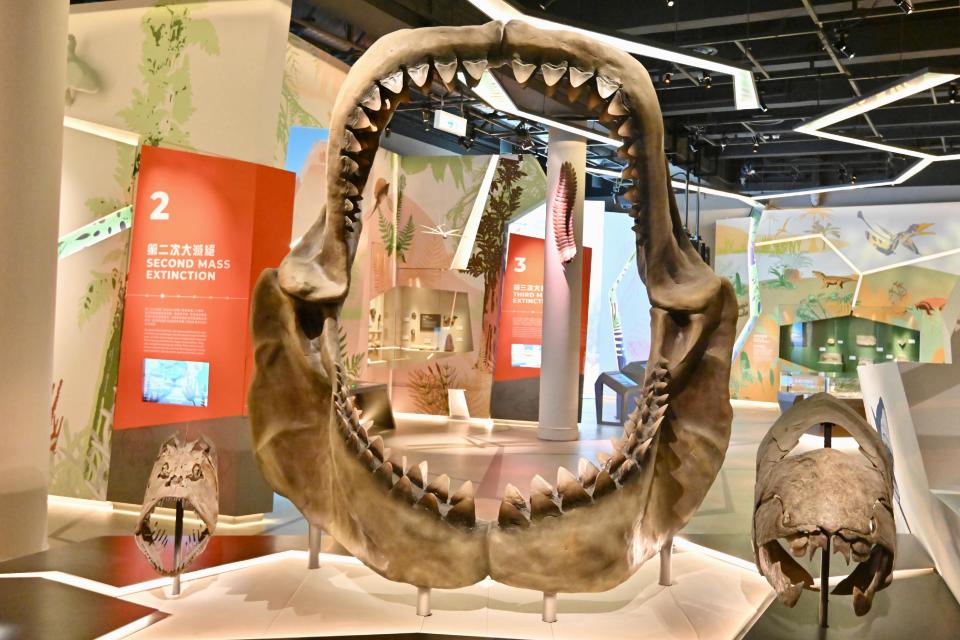 香港好去處｜科學館全新常設展廳「古生物展廳」開幕！展出真猛獁象、恐爪龍等逾百組珍貴化石、與機械恐龍互動