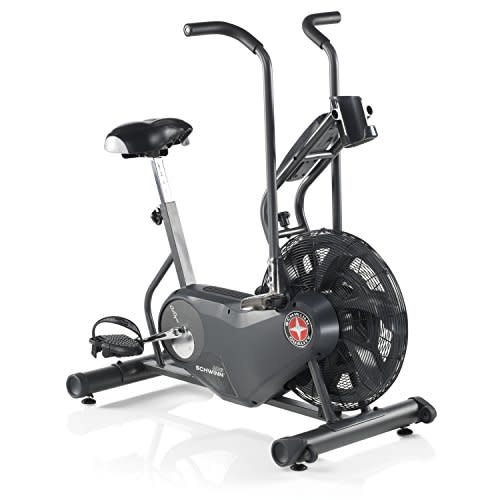 AD6 Airdyne Exercise Bike