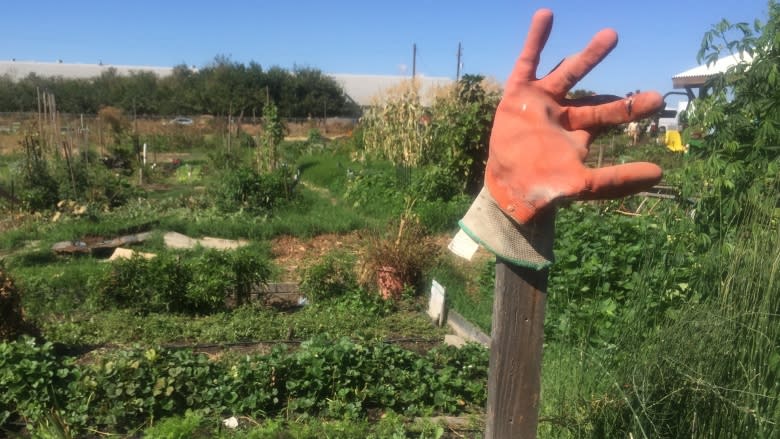 In California's farm belt, 'pesticide drift' has residents worried about their health