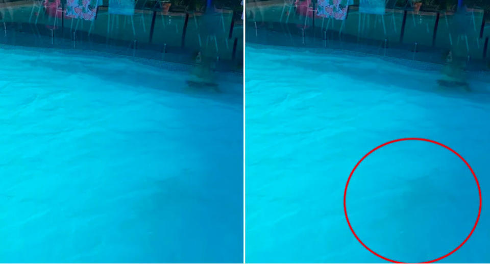 A child wearing blue swimwear can barely been seen at the bottom of the pool.