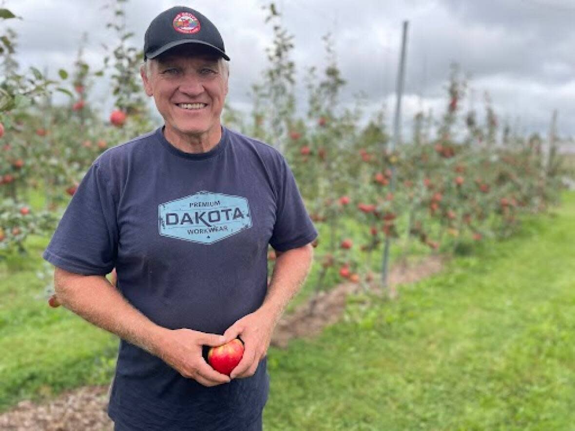 Geoff Boyle, president of the P.E.I. Tree Fruit Growers Association, says growers are working to save all the apples they can. (Sheehan Desjardins/CBC - image credit)