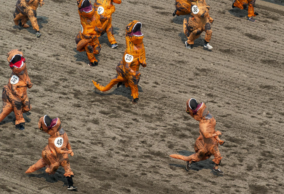 Participants in inflatable T-Rex costumes run down the racetrack during the "T-Rex World Championship Races" at Emerald Downs, Sunday, Aug. 20, 2023, in Auburn, Wash. (AP Photo/Lindsey Wasson)