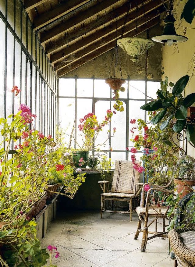 <p>Tender plants fill this garden room with colour.</p>