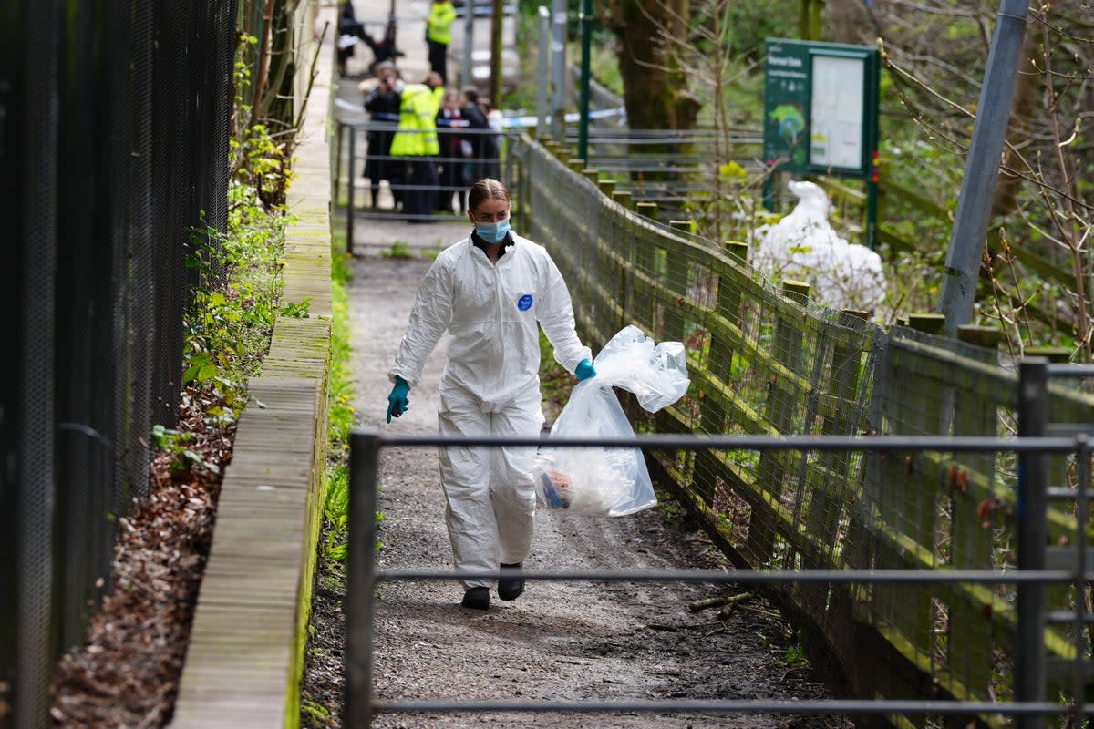 Forensic officers at Kersal Dale, near Salford, Greater Manchester. (PA)
