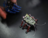 <p>Spätestens die Comicverfilmung „Ant-Man“ hat uns gezeigt, wie wertvoll Insekten bei der Bekämpfung von Gegnern sein können. Die winzigen Helfer stehen im Zentrum des DARPA-Projekts „Hybrid Insect Micro-Electro Mechanical Systems“. Dabei werden Insekten mit technischen Komponenten versehen und quasi ferngesteuert. Das Militär will die Technik zur Spionage und Überwachung einsetzen. (Bild: AP Photo) </p>