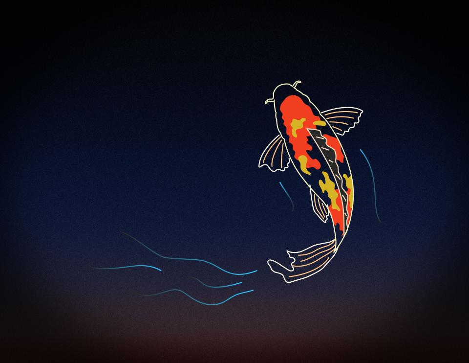 This image of a koi fish will be created by lit-up drones at the Friends of Villa Terrace drone show on July 10.