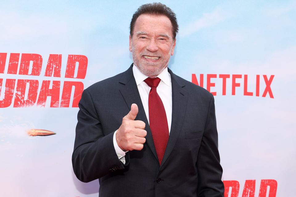 <p>Mark Von Holden/Variety via Getty</p> Arnold Schwarzenegger