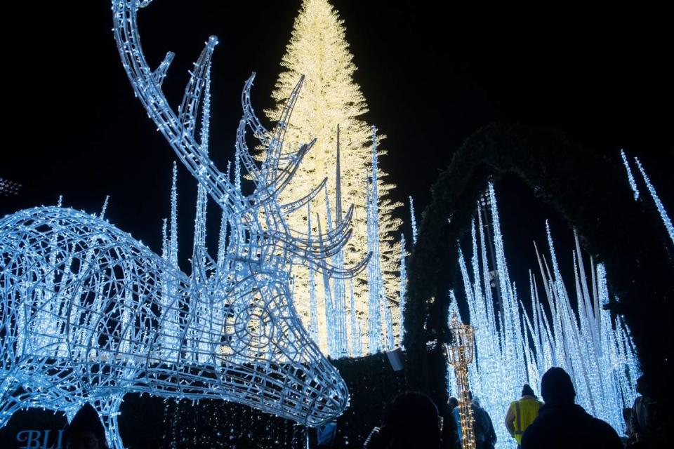 People walk through the Enchant new holiday light show at First Horizon Park in Nashville, Tenn., in 2022.