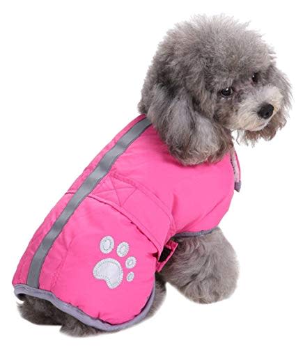 Queenmore Cold Weather Reversible Dog Coat (Amazon / Amazon)