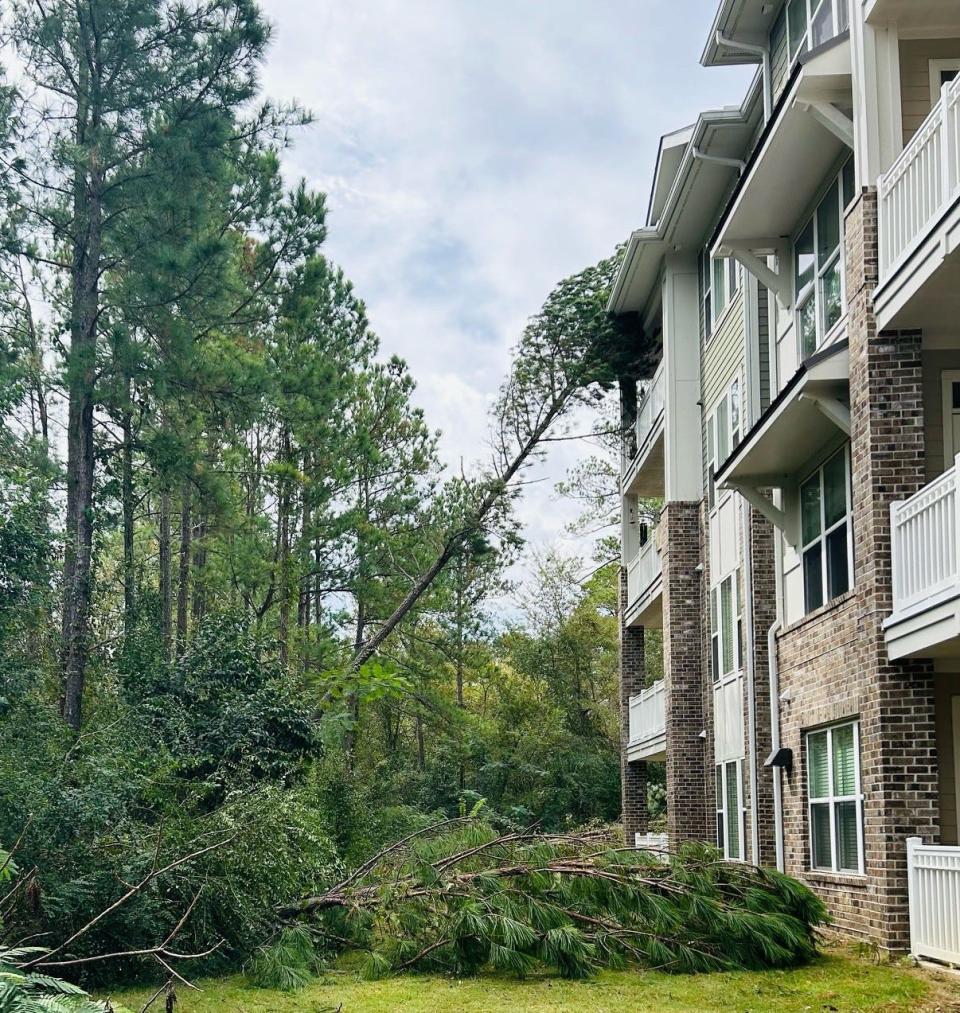 Trees and debris litter the grounds of an apartment complex in Augusta, located at Washington and Alexander, following Hurricane Helene.