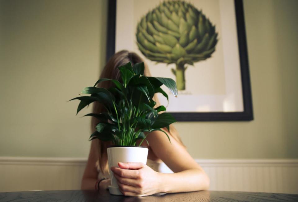 A woman with a houseplant.