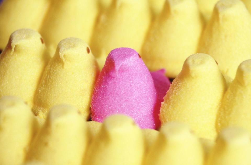Easter Facts Marshmallow Yellow Pink Peeps Candy in Rows