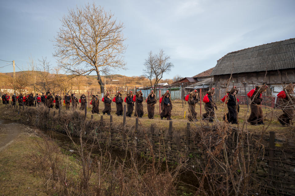 Integrantes de la manada de osos Sipoteni caminan junto a un riachuelo en Vasieni, en el norte de Rumanía, el 26 de diciembre de 2023, mientras recorren distintas localidades para el tradicional ritual del baile del oso. Hace siglos, quienes vivían en lo que ahora es el noreste de Rumanía se cubrían con pieles de oso y bailaban para ahuyentar a los malos espíritus. Esa costumbre es conocida hoy en día como el Festival del Baile del Oso, que cada diciembre atrae a multitud de turistas. (AP Foto/Vadim Ghirda)