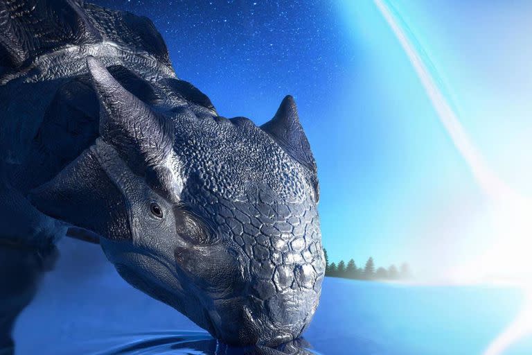 Una investigación de científicos británicos señalaron que fue el impacto del asteroide Chicxulub, ocurrido hace 66 millones de años en la actual península de Yucatán la que acabó con estos animales