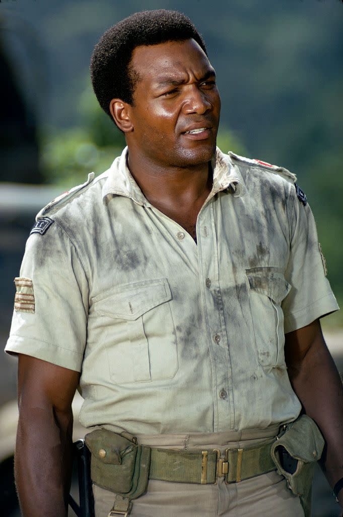 jim brown in 'dark of the sun'