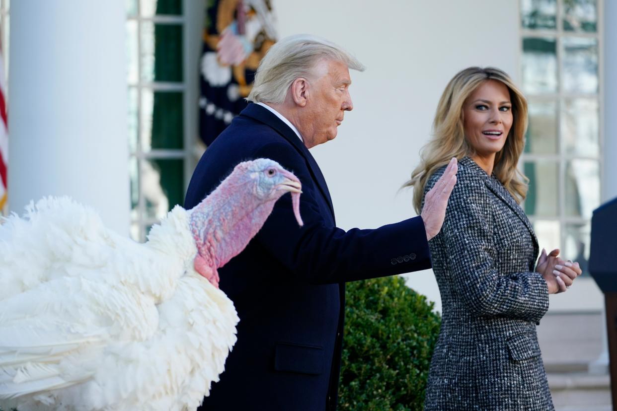 <p>Donald Trump walks away after pardoning Corn, the national Thanksgiving turkey, in the Rose Garden of the White House.</p> (AP)